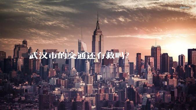 武汉市的交通还有救吗？