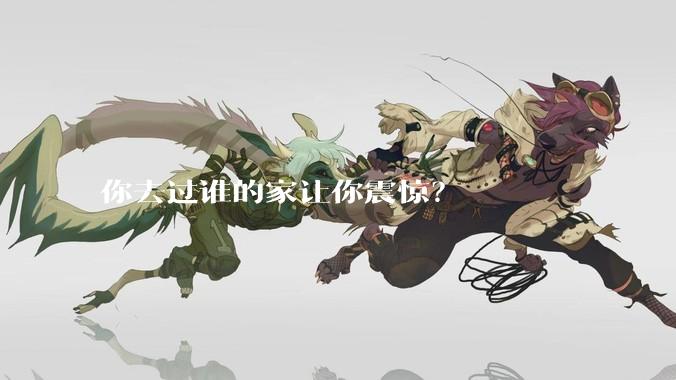 你去过谁的家让你震惊？